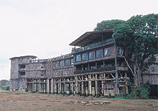 Tree Tops Lodge.