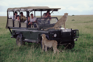 Masai Mara Wildlife Game Drive