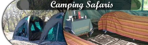 Kenya Amboseli Camping Safaris