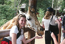 Giraffe Center Nairobi