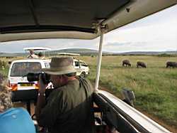 Masai Mara National Reserve.