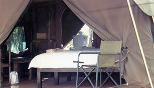 Samburu Larsens Tented Camp.