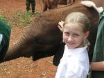 Tours at Nairobi Daphne Sheldrick Elephant Orphanage