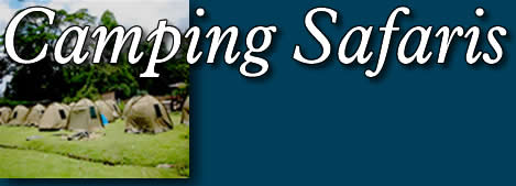 Camping Safaris Kenya