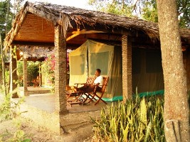 Fig Tree Self-Contained Camping Tent Masai M<ara