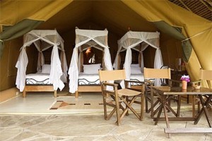 Flamingo Hill  Camp.