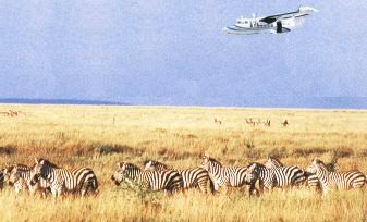 Samburu Flying Safari