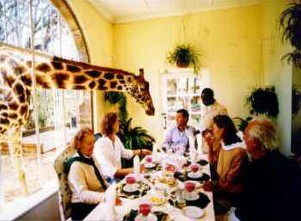 Inside of Nairobi Giraffe Manor