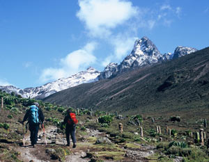 Mount Kenya Climbing.