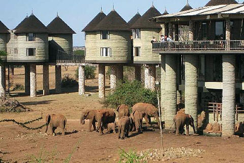 Taita Hills Salt Lick Lodge