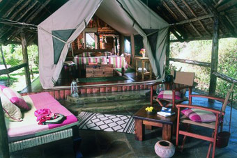 Tortilis Camping Tent.